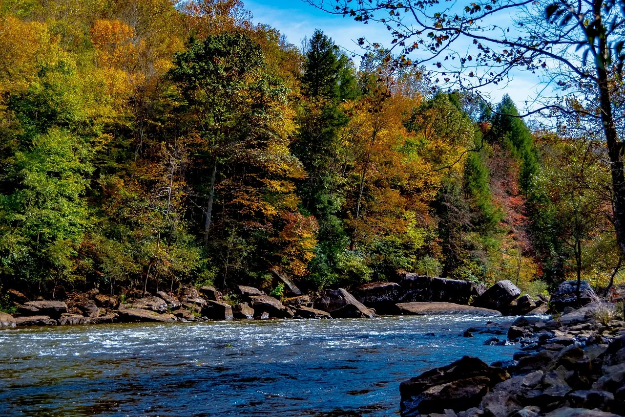 Felsiger Gauley River zwischen bewaldeten Hängen in herbstlichen Farben