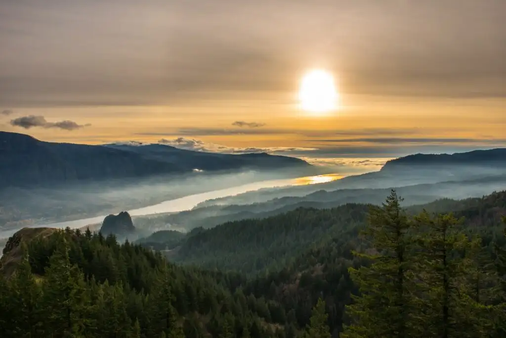 Bewaldete Hänge und Columbia River in der Columbia River Gorge