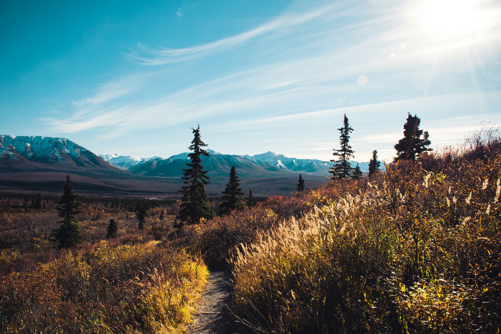 Denali Nationalpark