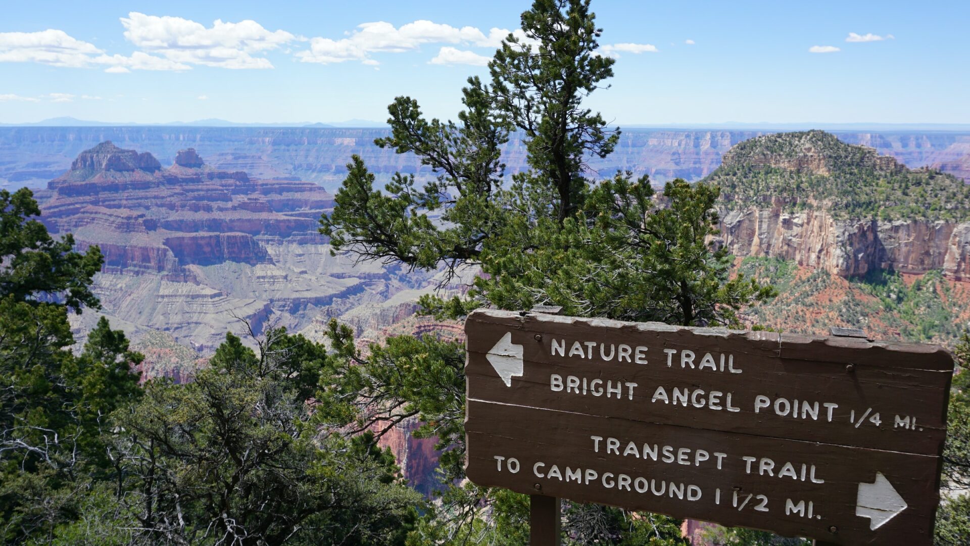 Aussicht am North Rim des Grand Canyon