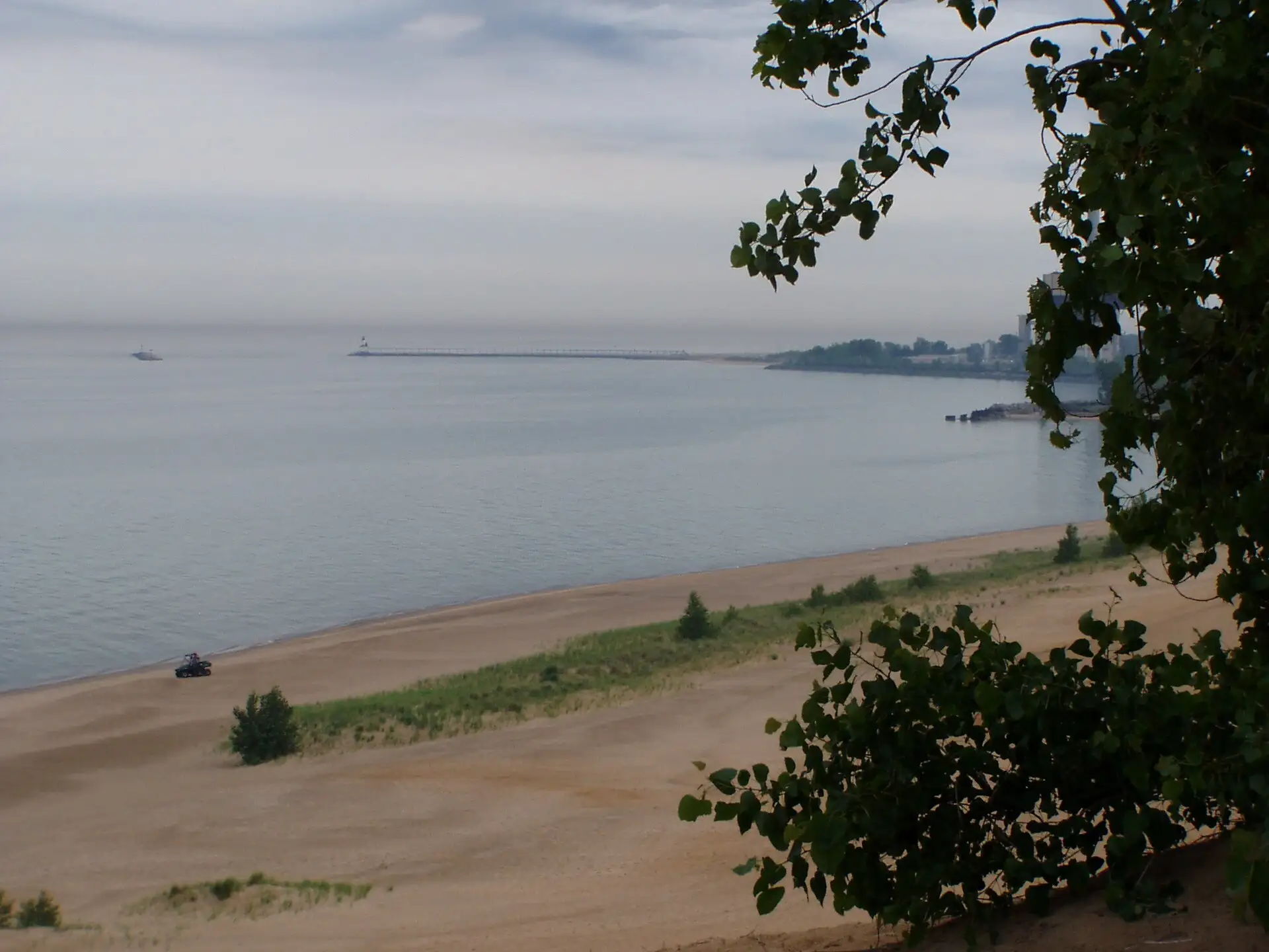 Foredune bei Mount Baldy