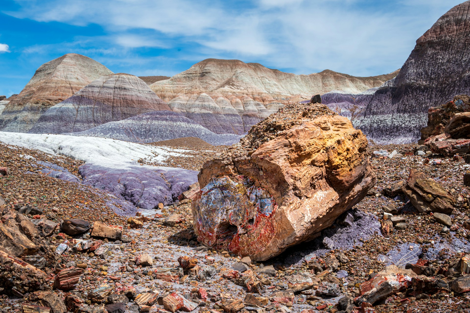Petrified Forest Nationalpark