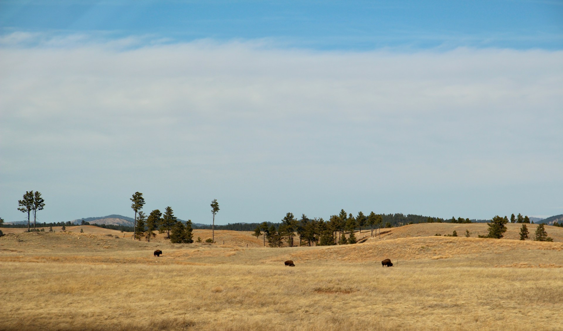 Wind Cave Nationalpark
