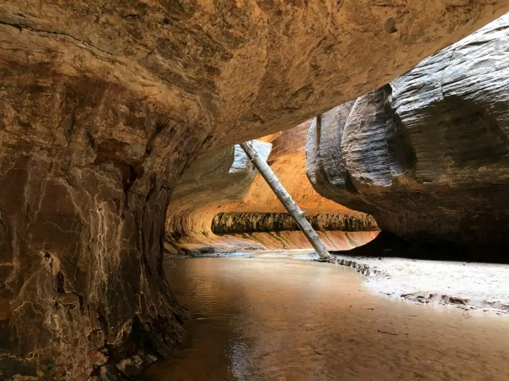 Felsformation The Subway im Zion National Park