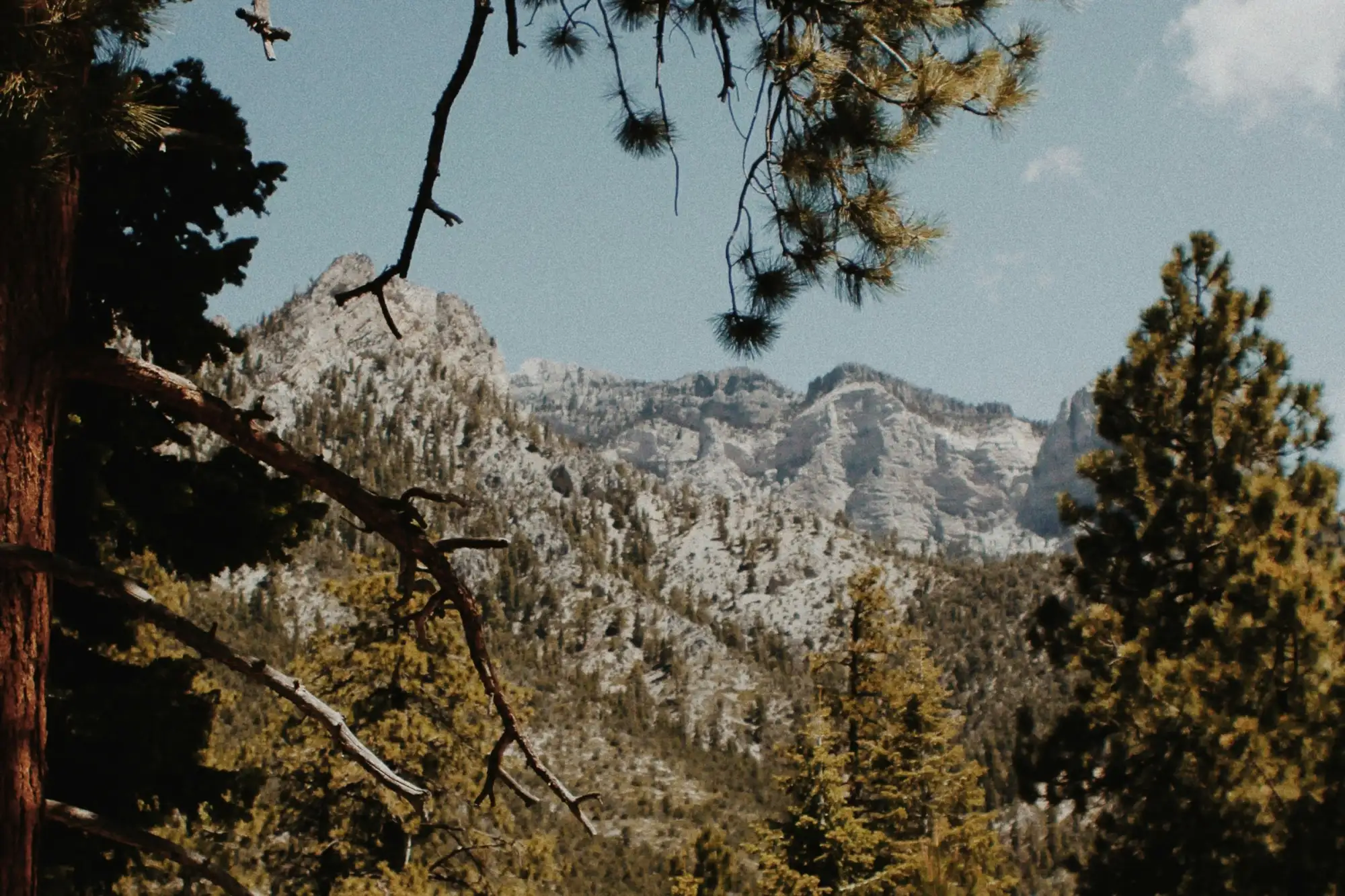 mount charleston bergwald big mount charleston bergwald big