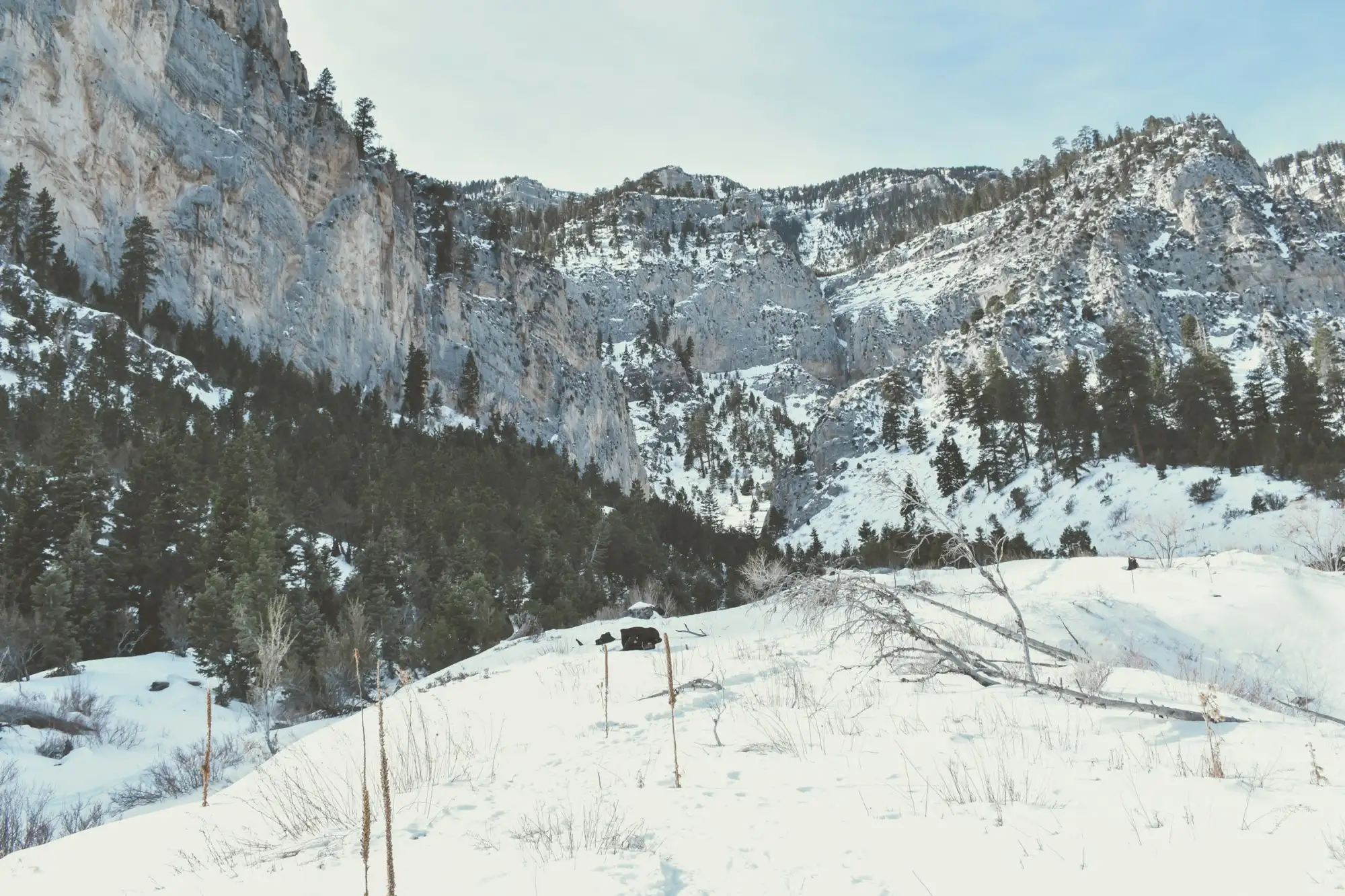 mount charleston winter big mount charleston winter big