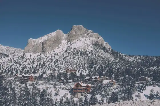 Titelbild von Mount Charleston