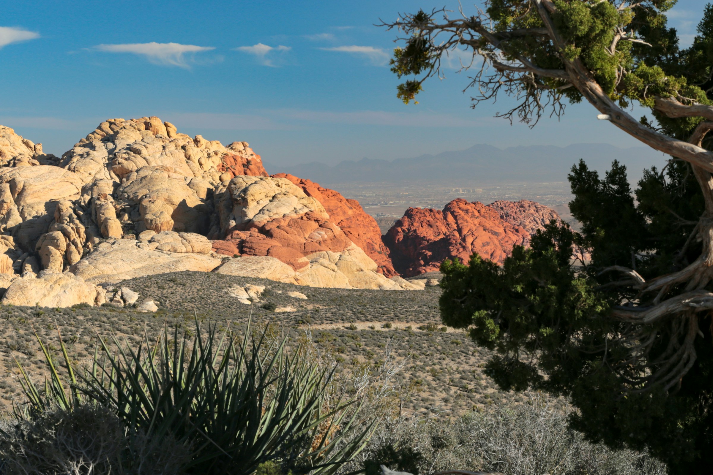 red rock canyon felsen red rock canyon felsen