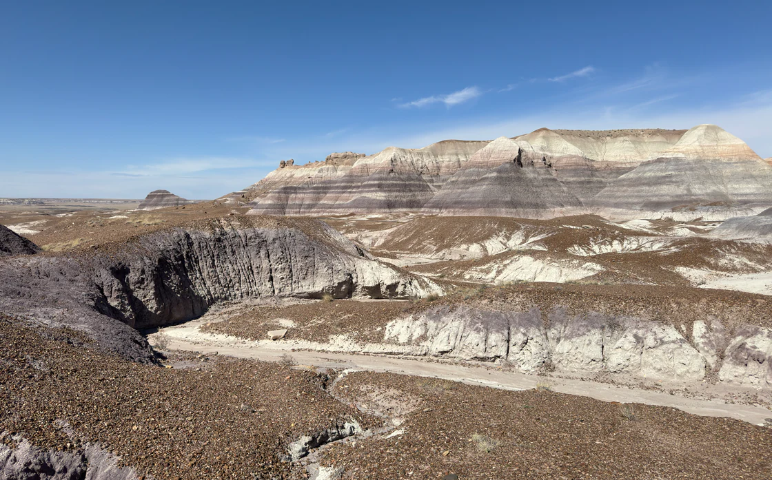 Graue, violette und helle Badlands am Blue Mesa Trail