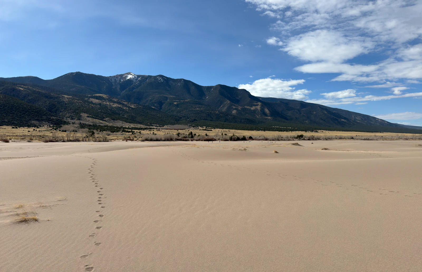Fußspuren im Sand vor der Bergkette im Great Sand Dunes National Park