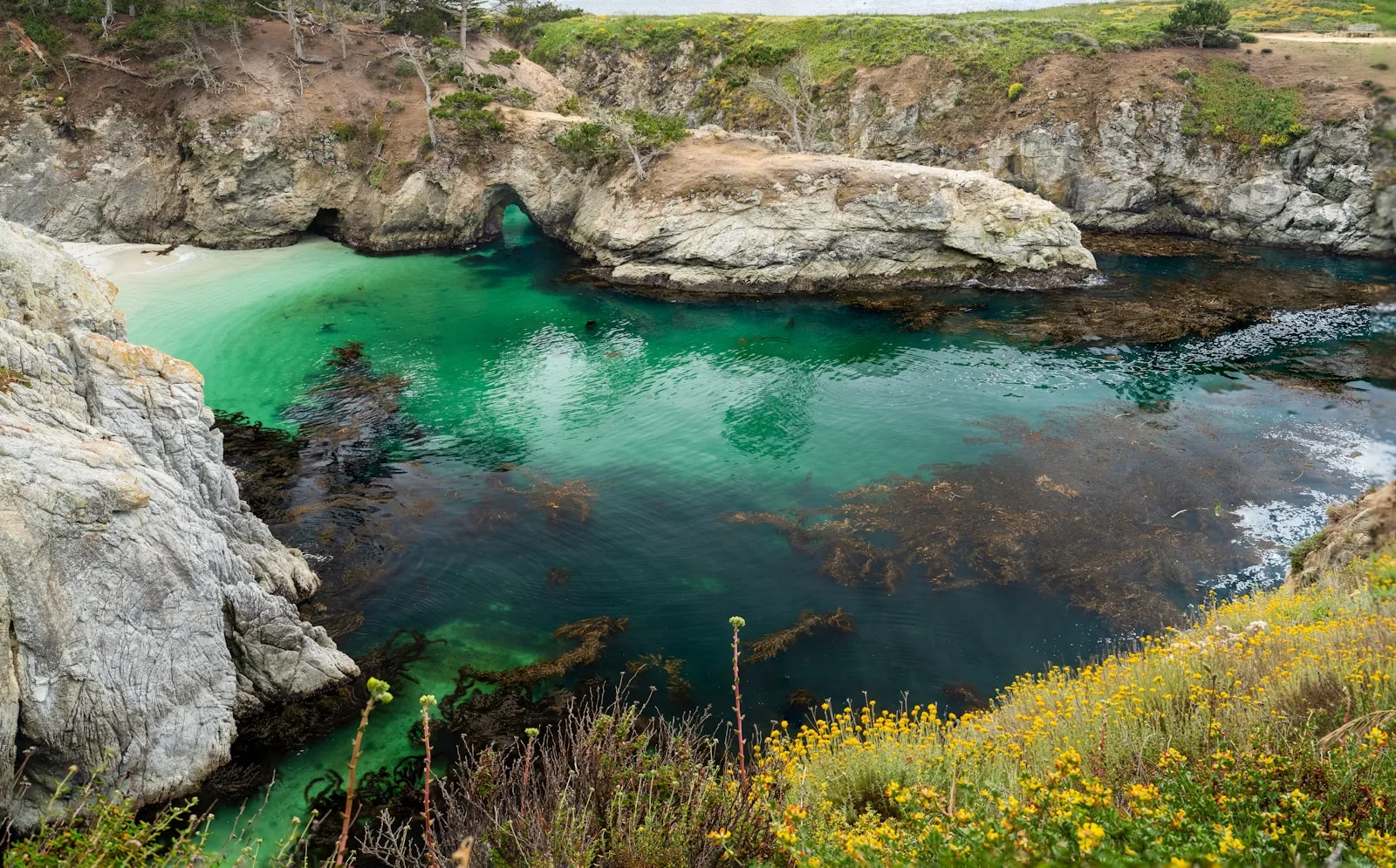 Türkisfarbene China Cove zwischen Felsen im Point Lobos State Natural Reserve