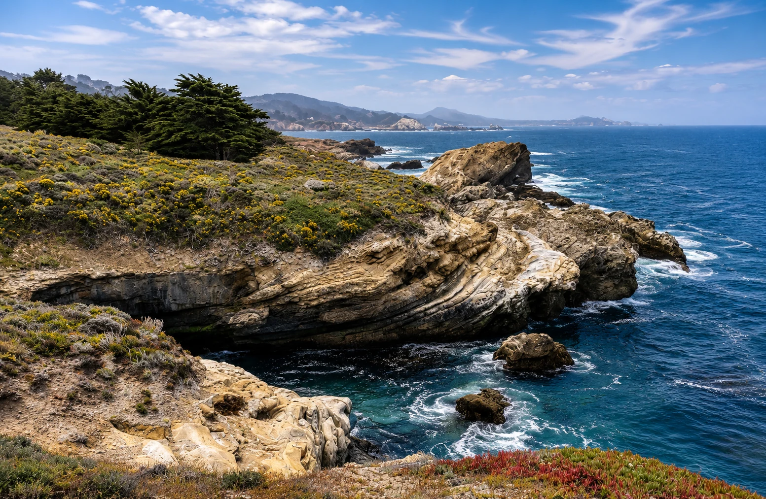 Blühende Küstenlandschaft und Felsen im Point Lobos State Natural Reserve