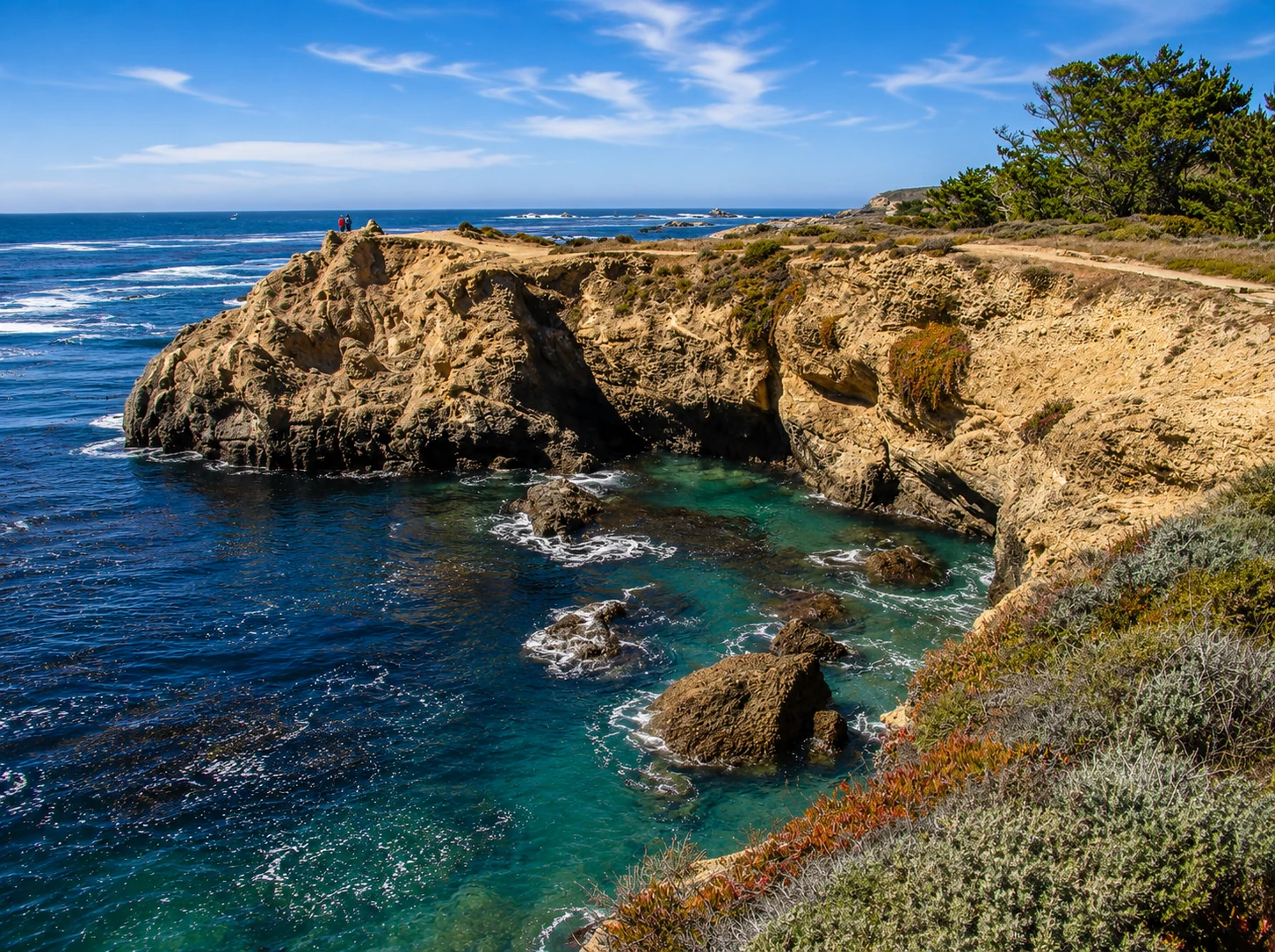 Türkisfarbene Bucht und helle Felsklippen in Point Lobos