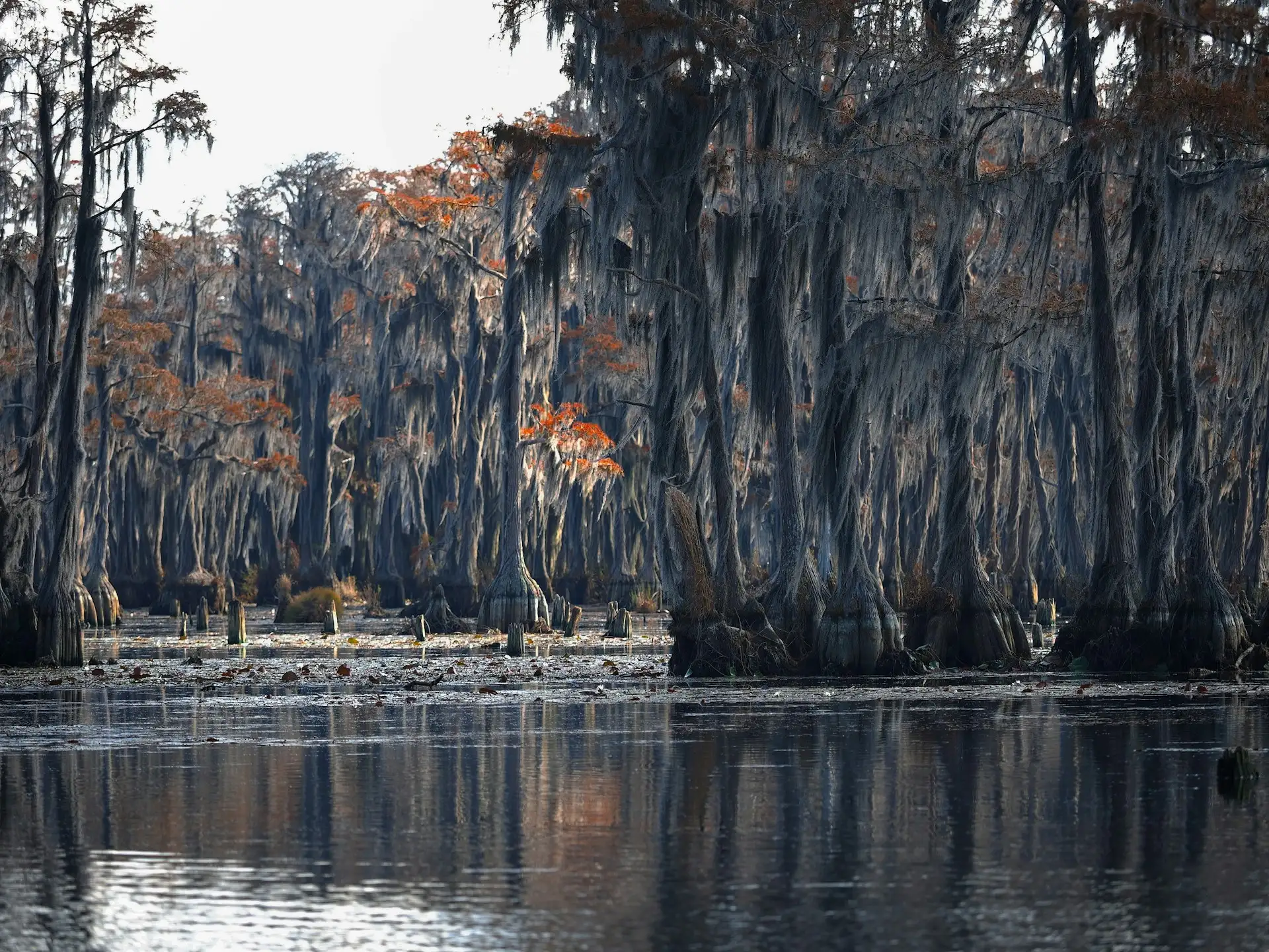 Banks Lake als Naturziel in Georgia