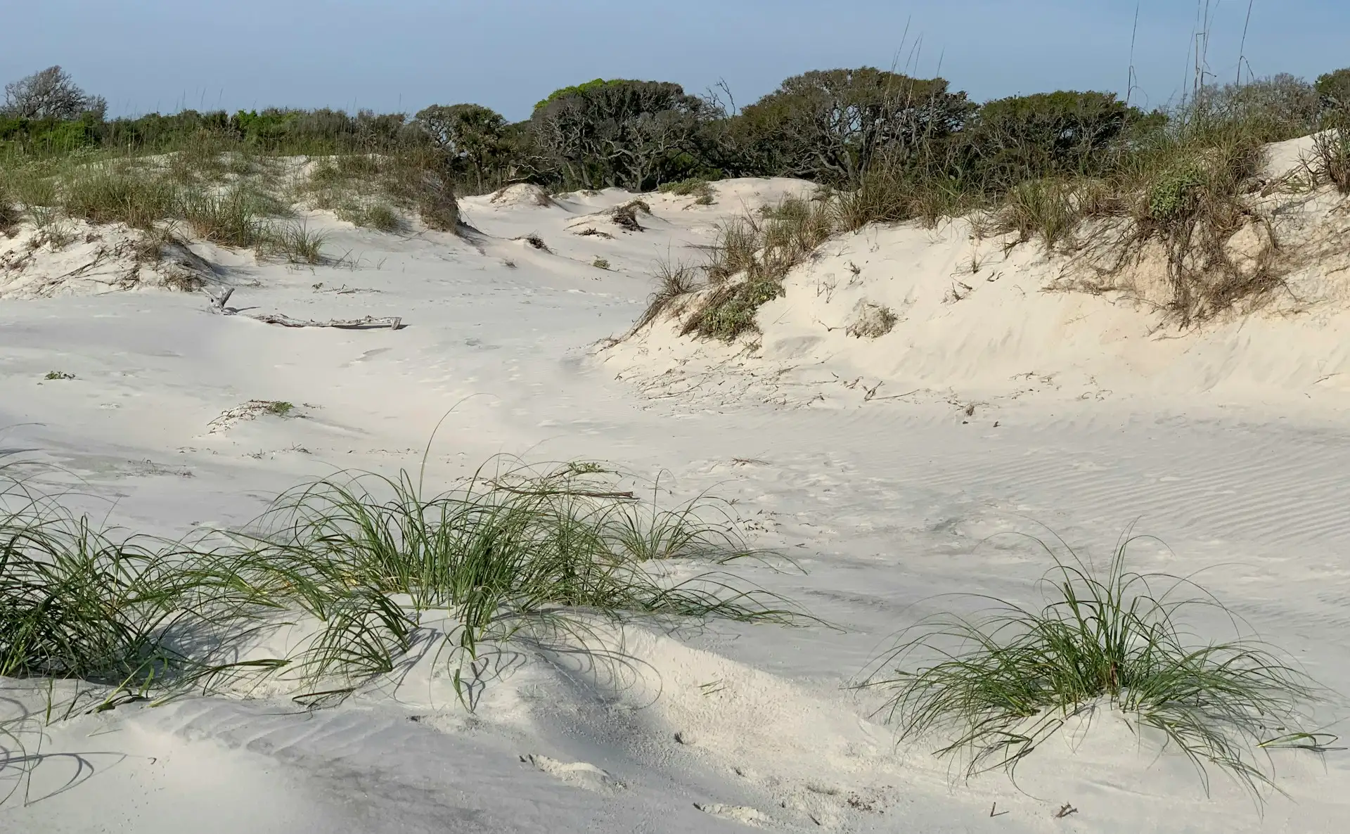 Küste auf Jekyll Island in Georgia