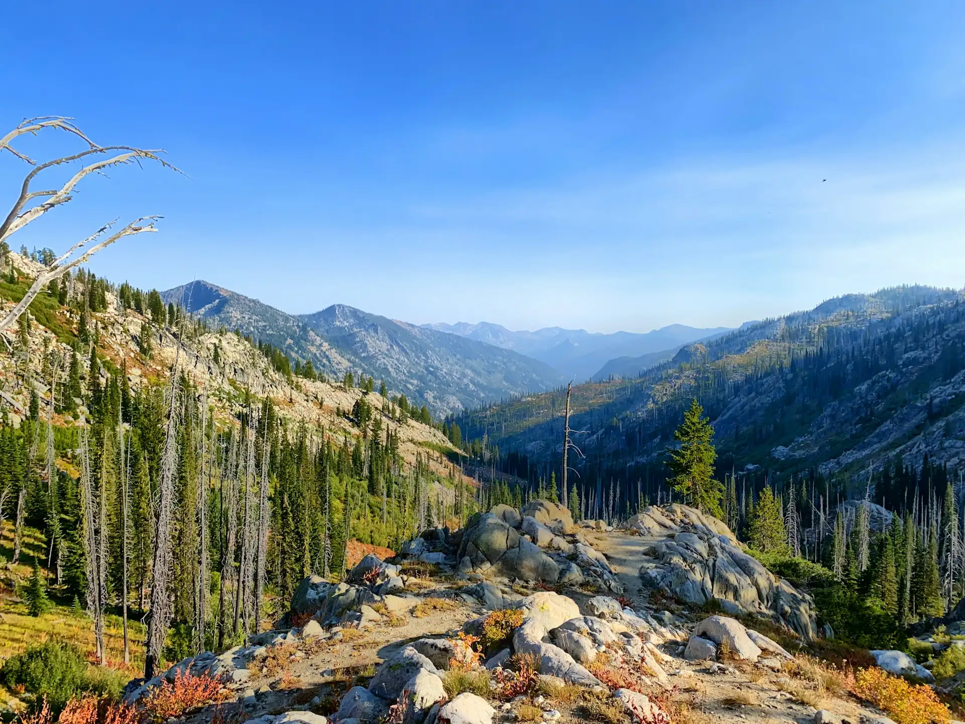 Payette National Forest in Idaho