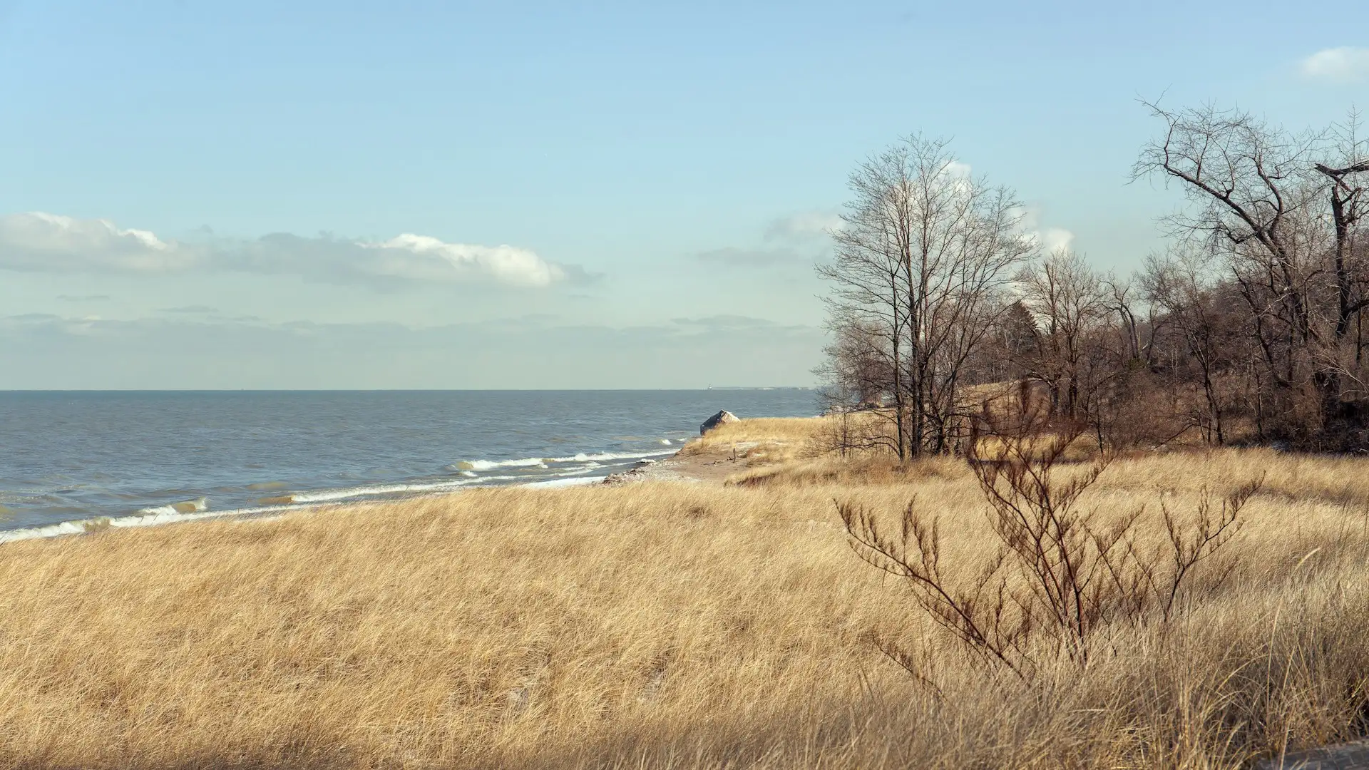 Dünen und Strand im Indiana Dunes National Park