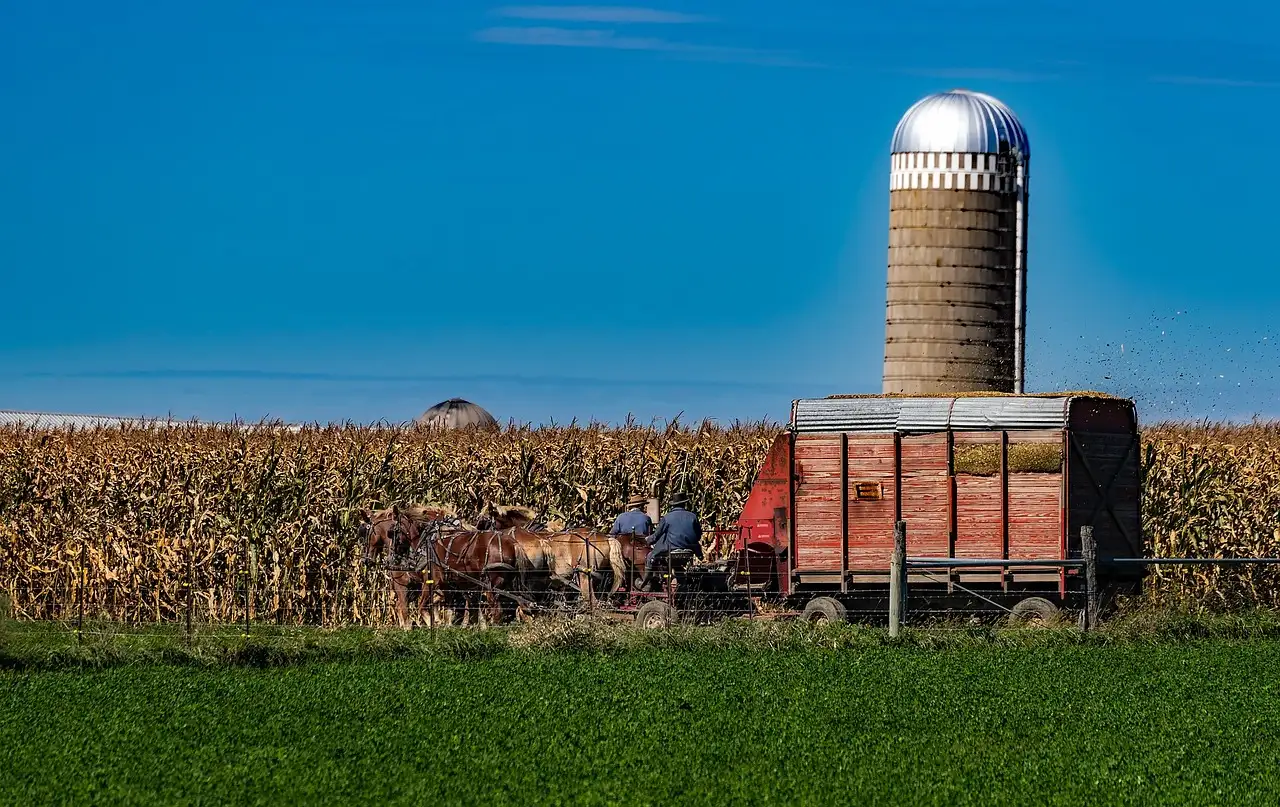 Ländliche Szene im Amish Country von Indiana