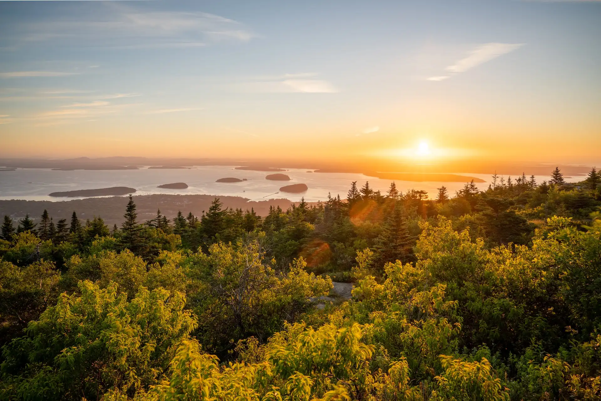Felsküste im Acadia National Park