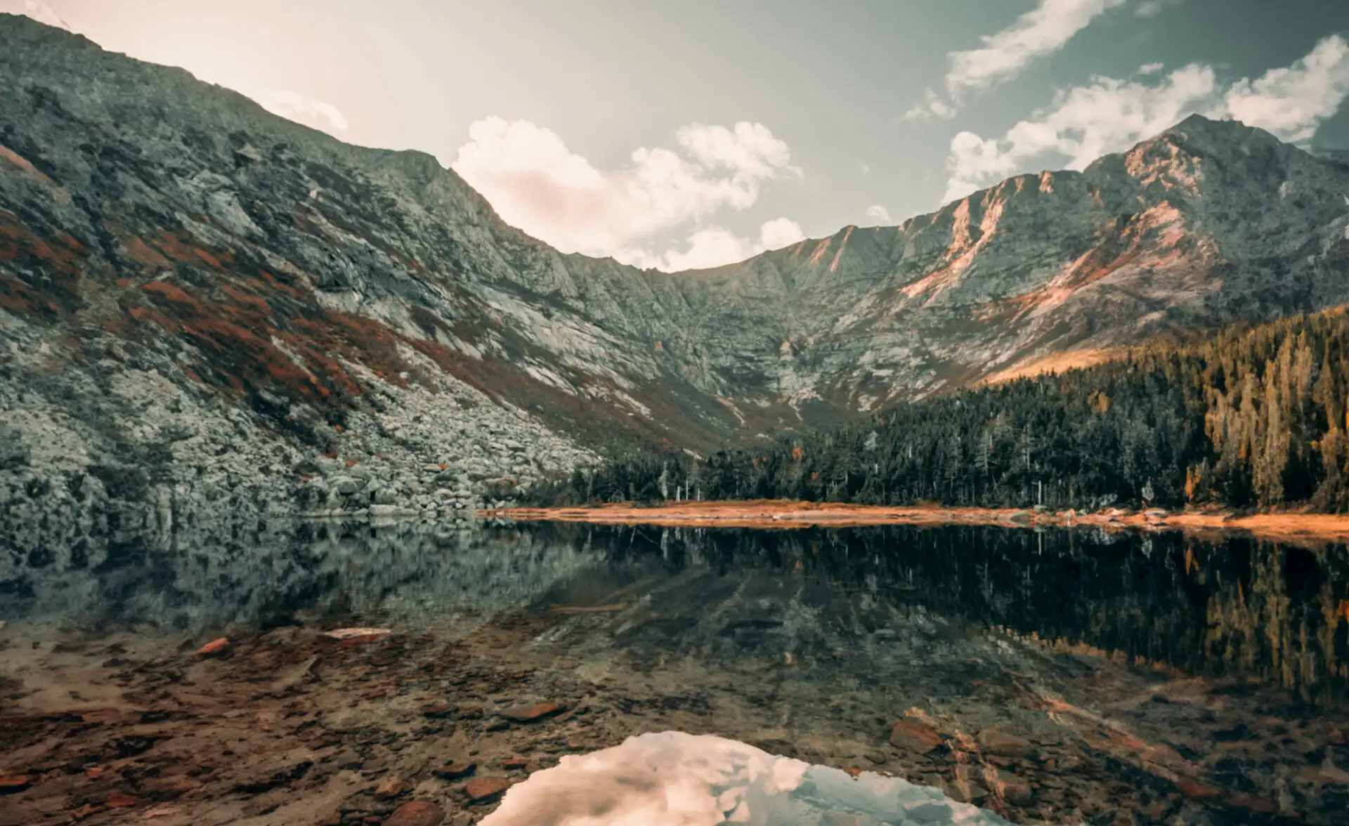 Berglandschaft und Wald im Baxter State Park in Maine