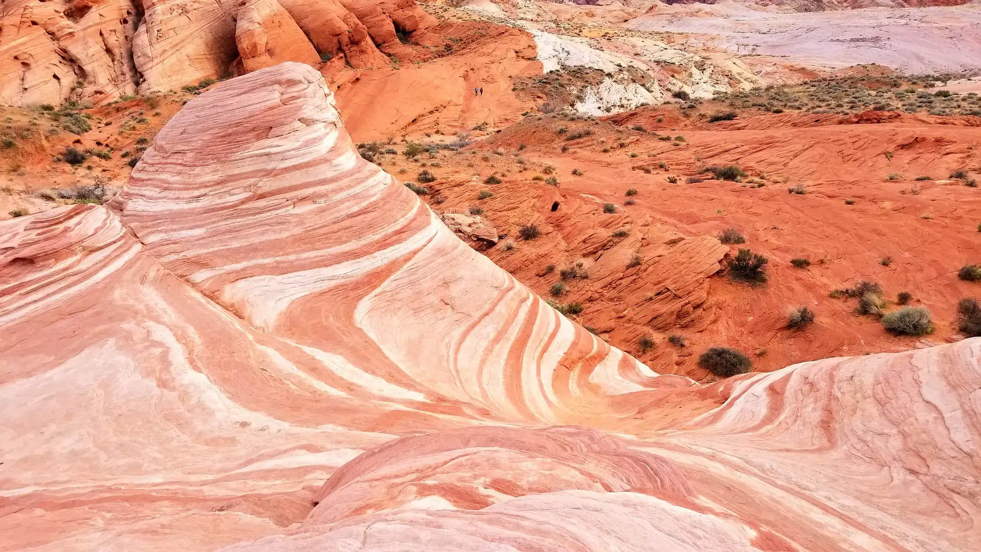 Sandsteinmuster an der Fire Wave im Valley of Fire