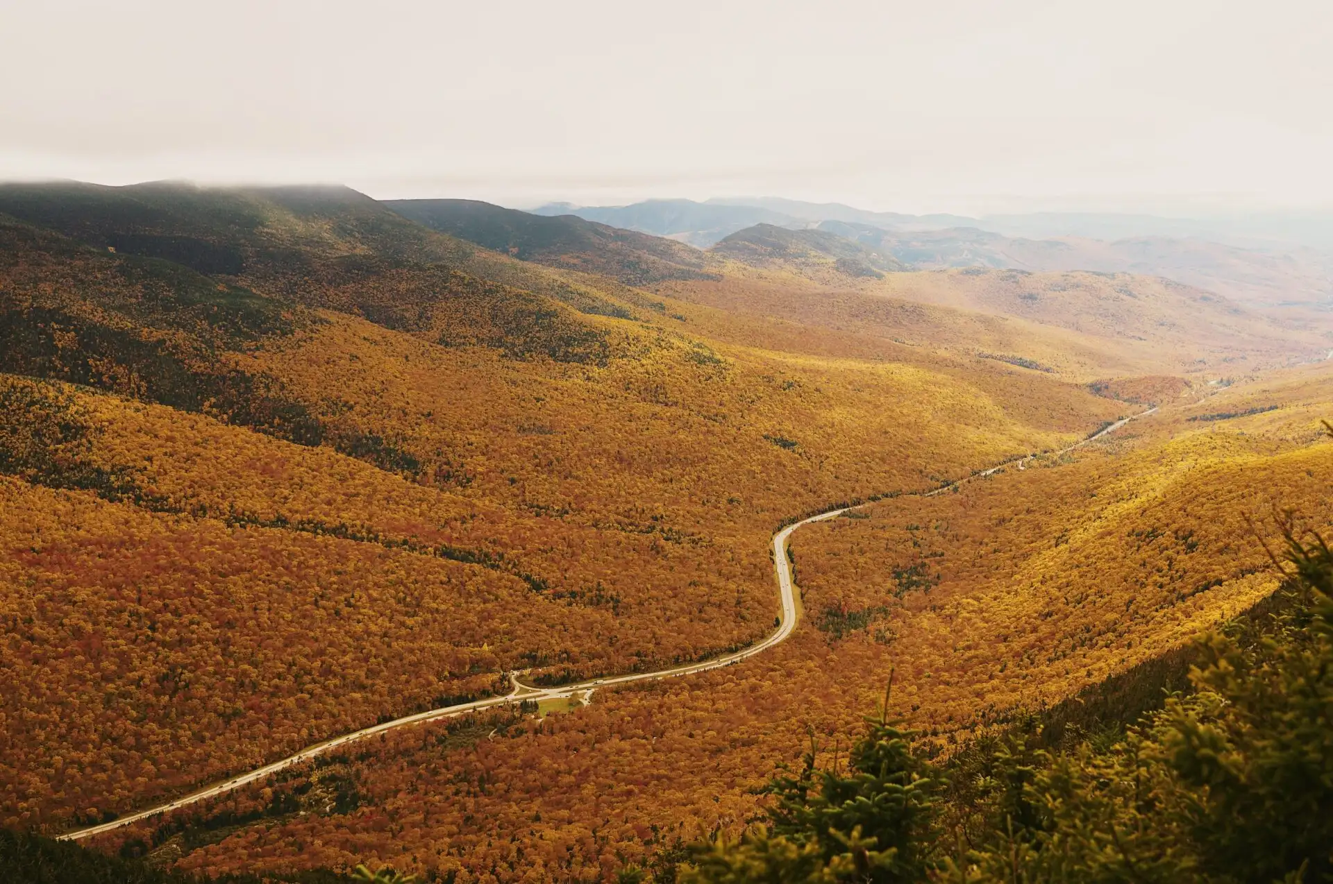 Wald und Berge im White Mountain National Forest