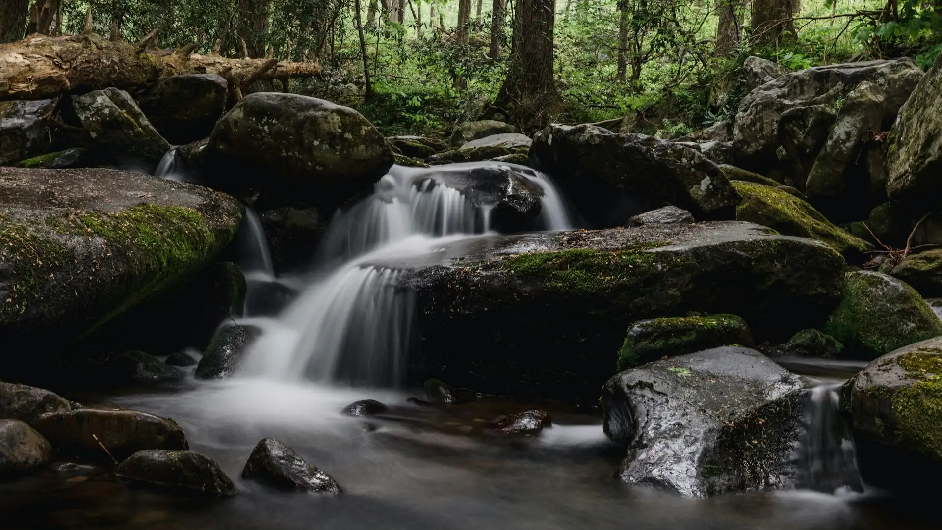 Great Smoky Mountains National Park