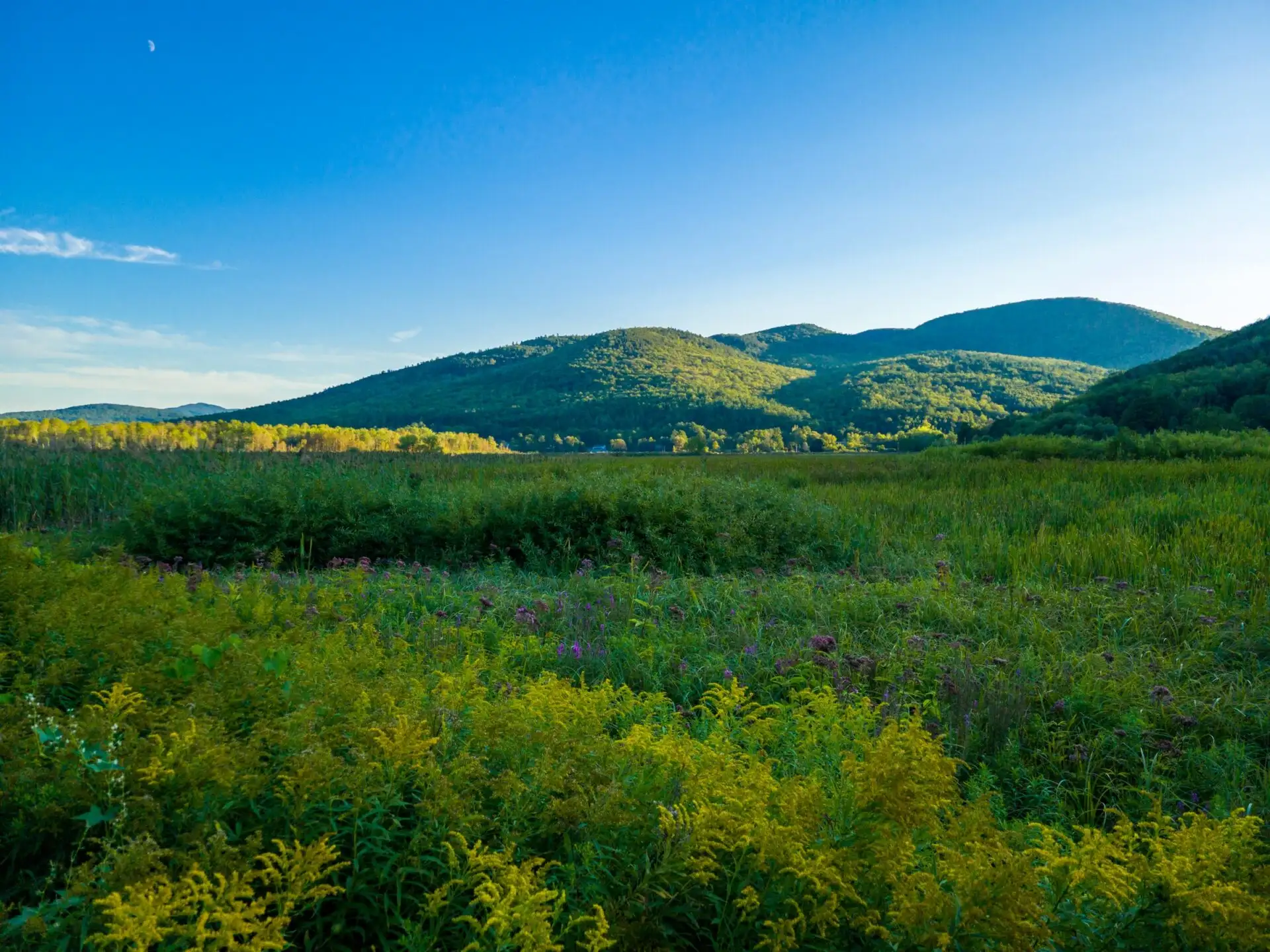 Vermont Green Mountains Burlington Stowe Vermont Green Mountains Burlington Stowe