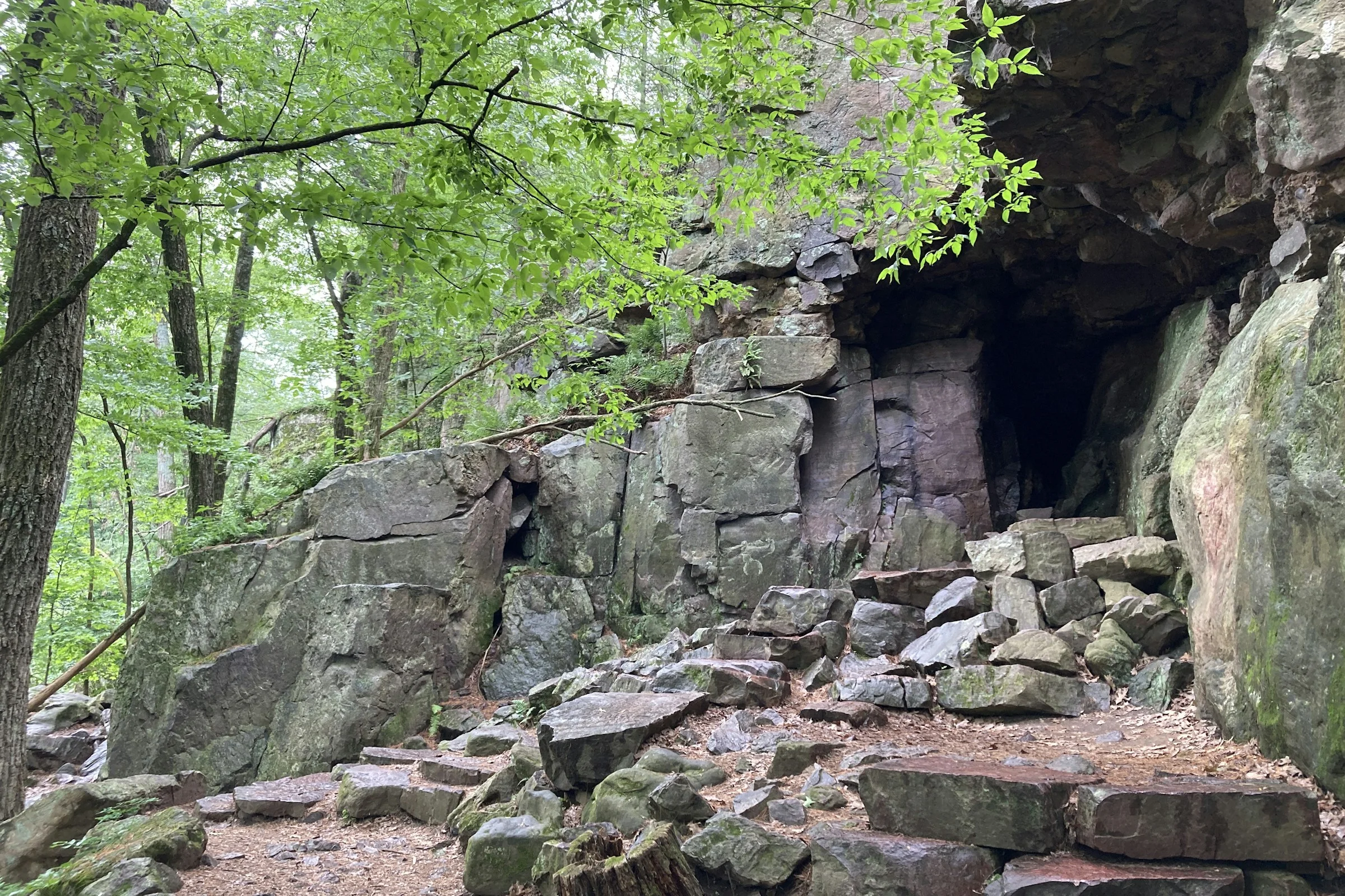 Quarzitfelsen und bewaldeter Felsüberhang am East Bluff Trail im Devil’s Lake State Park