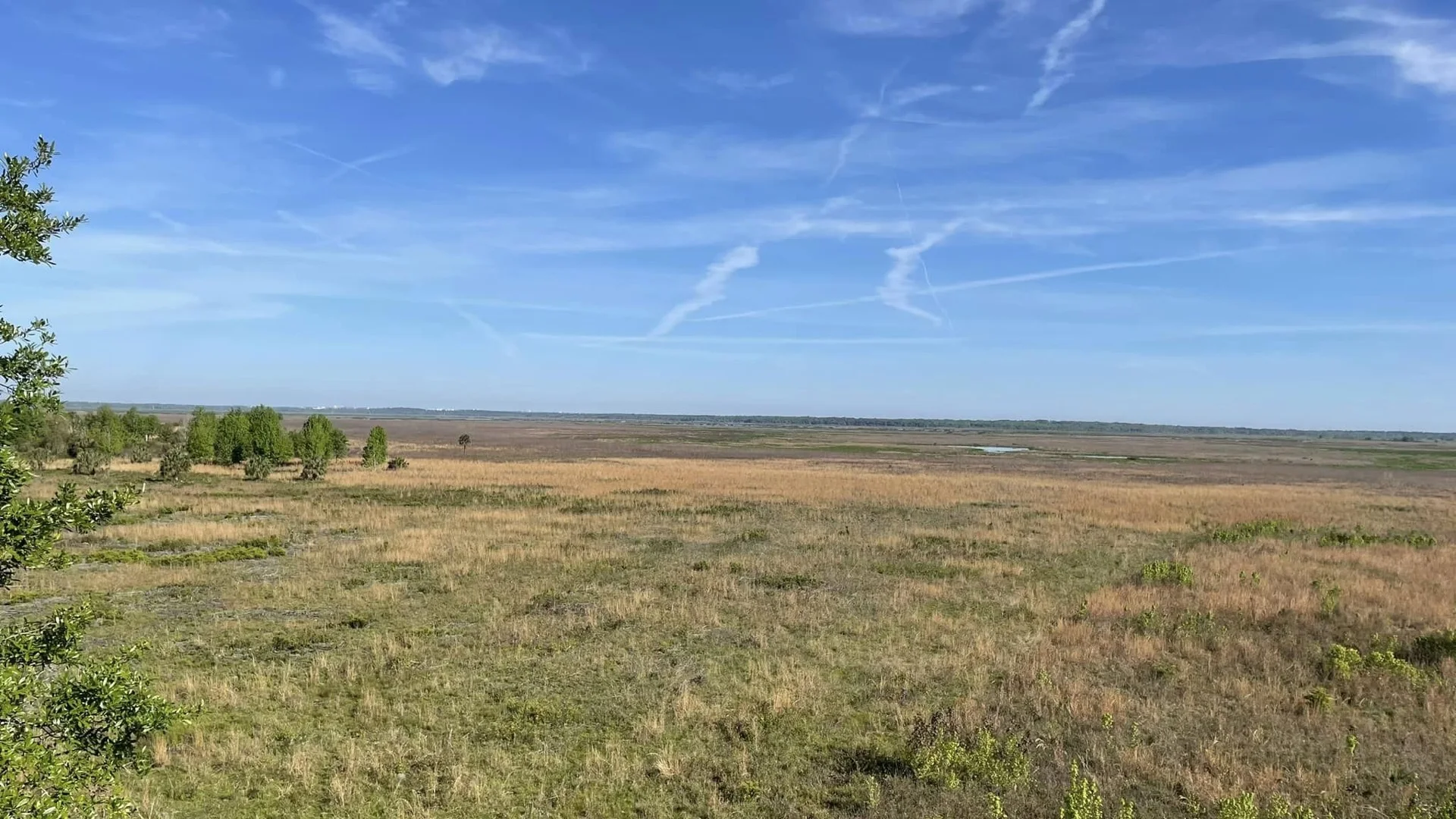 Weite Feuchtprärie und Himmel im Myakka River State Park