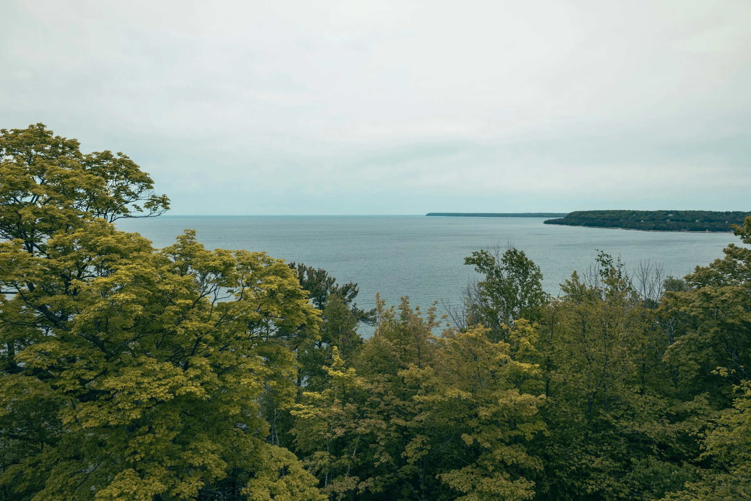 Blick über Baumwipfel und die Green Bay im Peninsula State Park