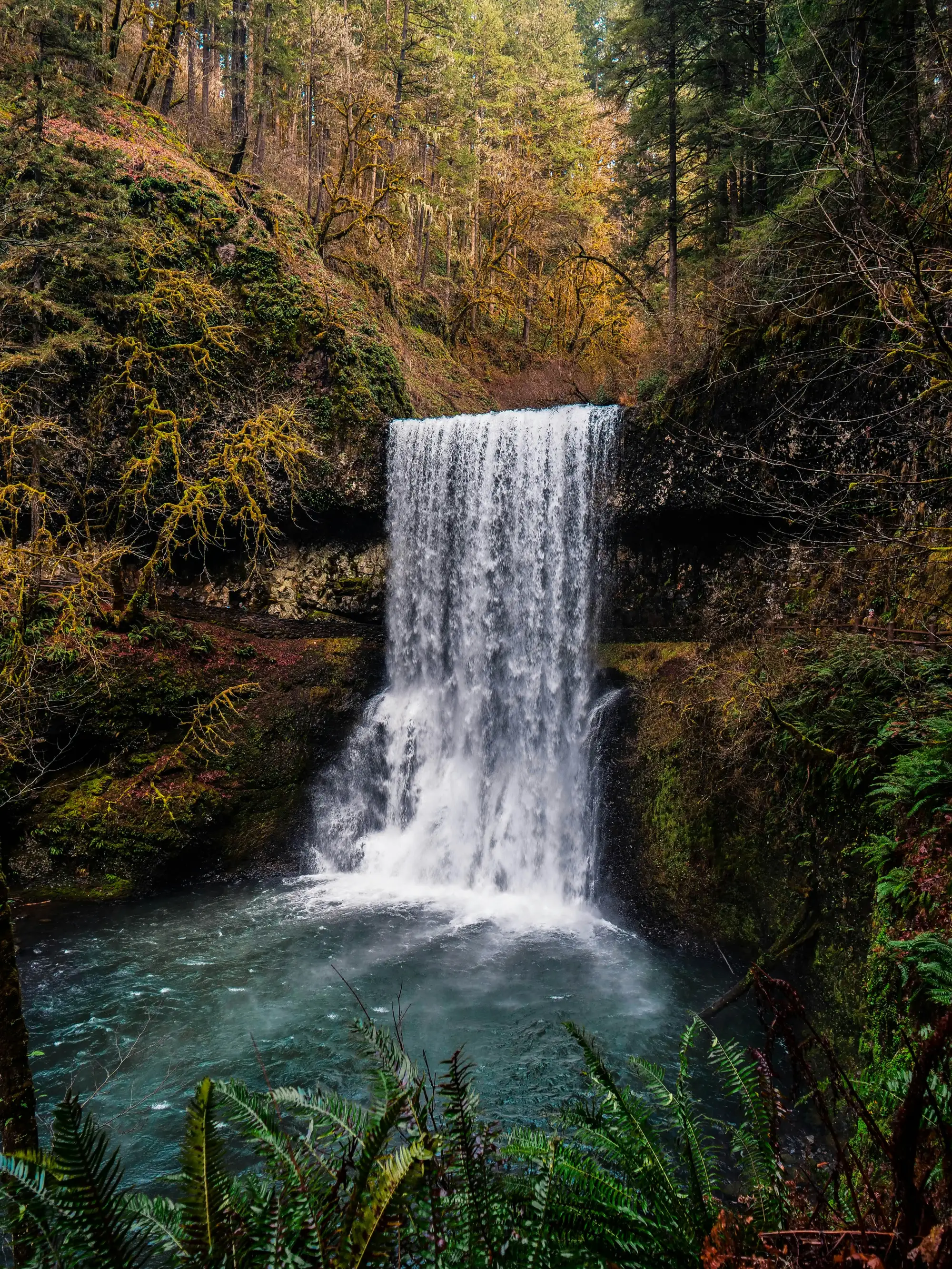 Silver Falls State Park