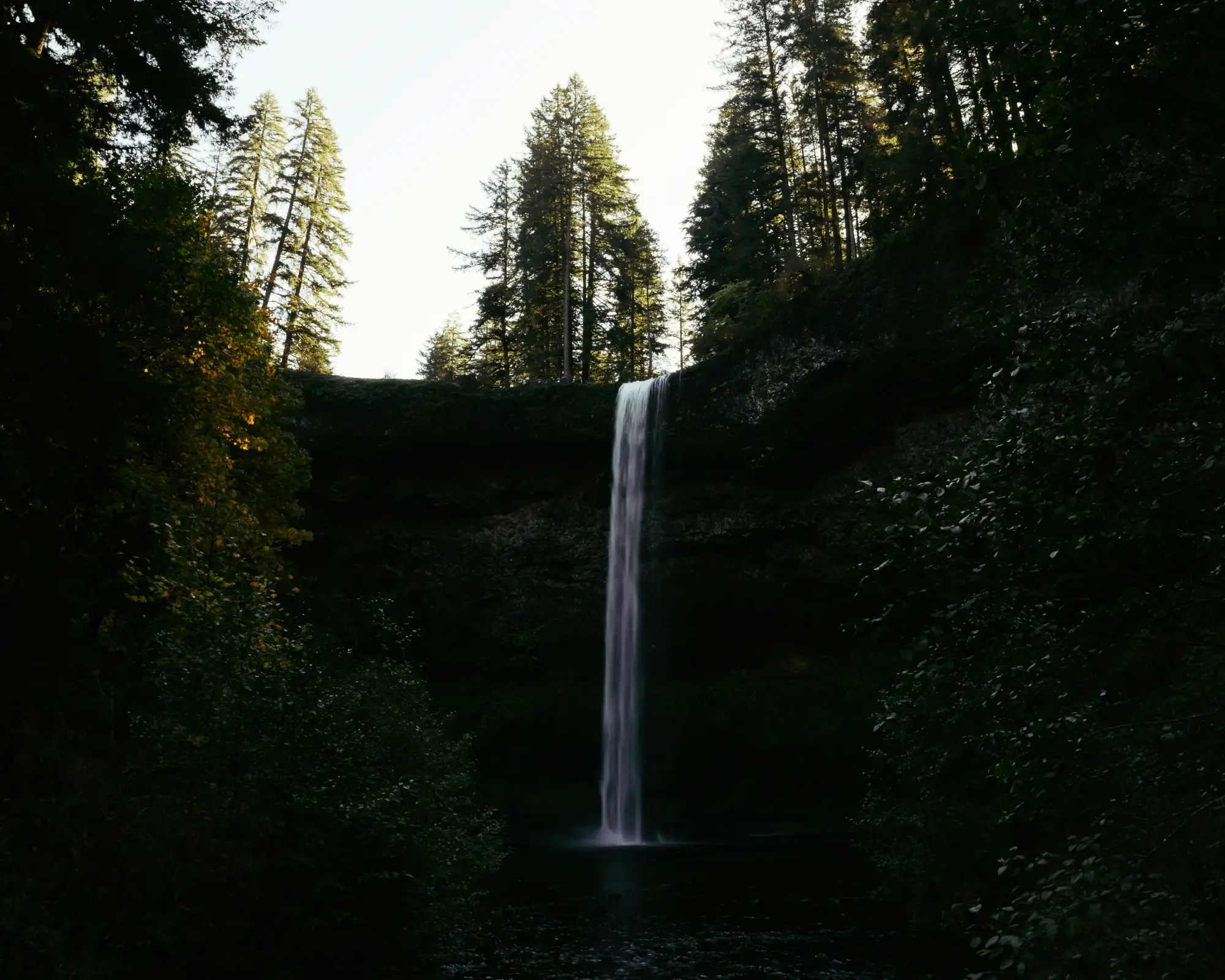 Wasserfall im Wald im Silver-Falls-Kontext
