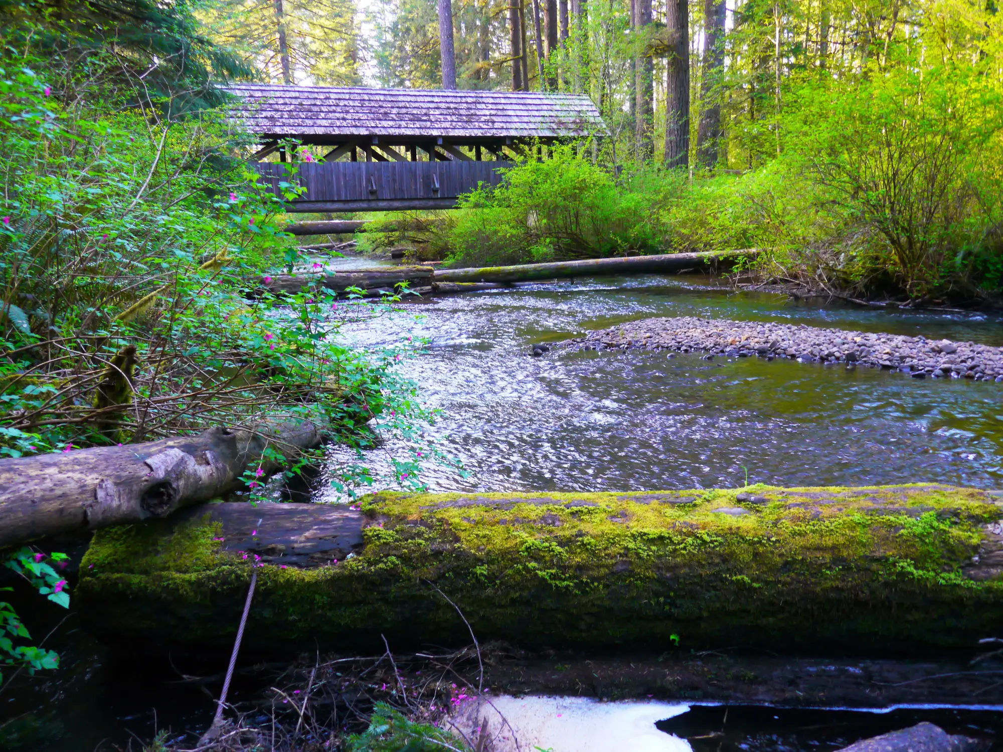 Holzbruecke ueber Silver Creek