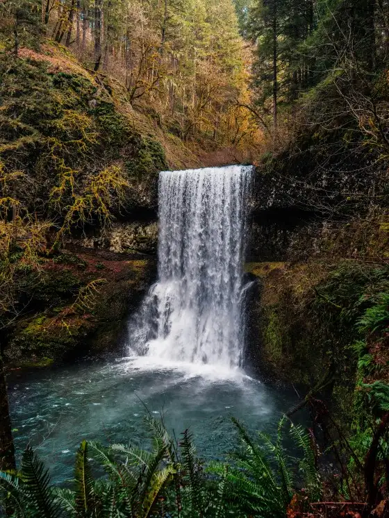 Titelbild von Silver Falls State Park